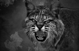 【ネタバレあり】ドラマ『怪盗山猫7話』あらすじ&感想　菜々緒　亀梨和也 photo 0