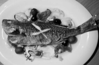 渋谷の中心にあるテラス付きカフェ「ハルマリ」に行ってみたよ！　ダイニング　道玄坂　レストラン　グルメ image 0